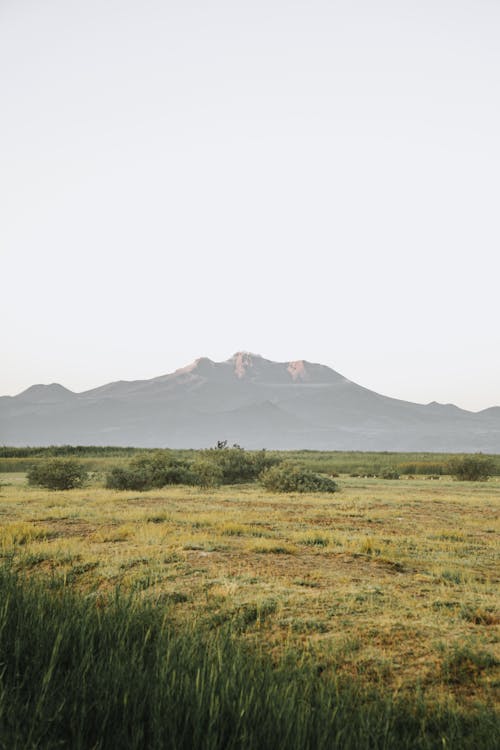North Dakota Türk Toplumu Rehberi: Fargo ve Grand Forks'ta Türk Yaşamı